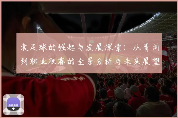 袁足球的崛起与发展探索：从青训到职业联赛的全景分析与未来展望
