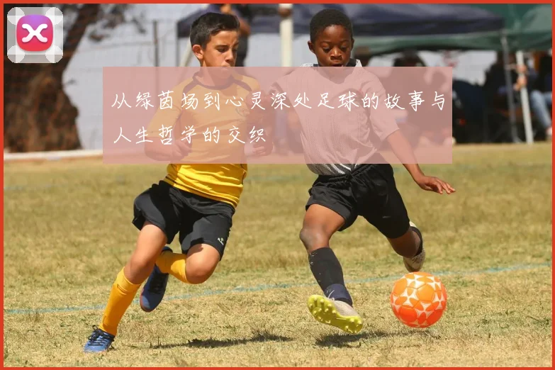 从绿茵场到心灵深处足球的故事与人生哲学的交织