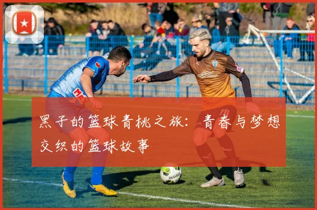 黑子的篮球青桃之旅：青春与梦想交织的篮球故事