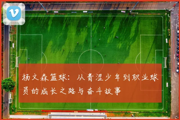 杨文森篮球：从青涩少年到职业球员的成长之路与奋斗故事
